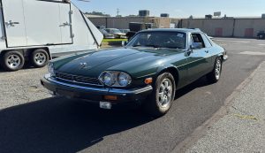 Dark Green Jaguar Seeking Cat-friendly Home
